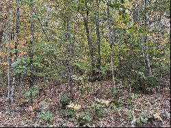 Lot 156 New Hampshire Drive, Webster NH 03303