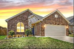 250 Irick Court, Aubrey TX 76227