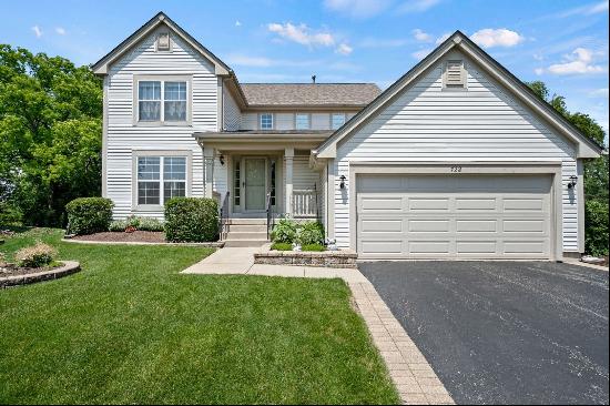 722 Brighton Circle, Port Barrington IL 60010