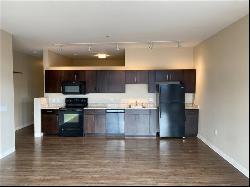 1655 Fifth Avenue Unit 712, Downtown Pgh PA 15219