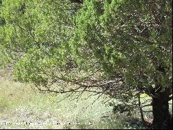 167 Deer Valley Drive, Alto NM 88312