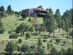 167 Deer Valley Drive, Alto NM 88312