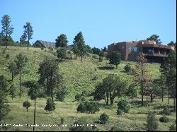 167 Deer Valley Drive, Alto NM 88312