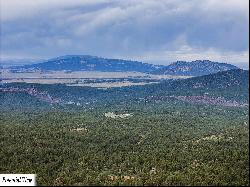 TBD USFS ForestRoad 132A, Lama NM 87556