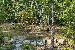 134011 Schneider Road #000134 / 011, Moultonborough NH 03254