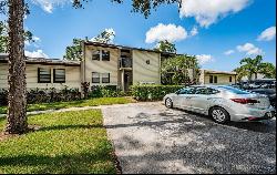 1000 Tarpon Woods Boulevard #703, Palm Harbor FL 34685