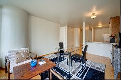 505 N Lake Shore Drive #1202, Chicago IL 60611