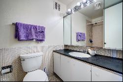 505 N Lake Shore Drive #1202, Chicago IL 60611