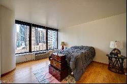 505 N Lake Shore Drive #1202, Chicago IL 60611