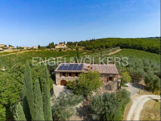 Beautiful Farmhouse in Chianti Classico with A4 Energy Efficiency Rating