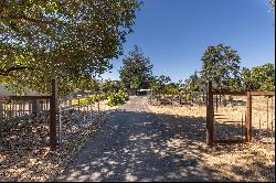 Napa Cottage on Acreage