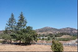 Napa Cottage on Acreage