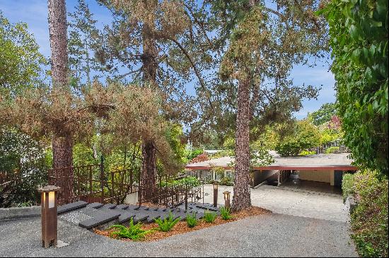 Timeless Architect-Designed Mid-Century Modern Retreat 