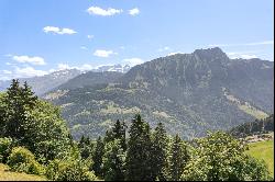 Splendid chalet, breathtaking view of the Alps