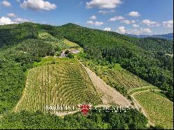 MANORIAL VILLA WITH VINEYARDS FOR SALE IN CHIANTI RUFINA, TUSCANY