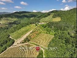 MANORIAL VILLA WITH VINEYARDS FOR SALE IN CHIANTI RUFINA, TUSCANY