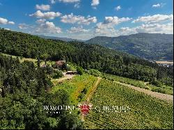 MANORIAL VILLA WITH VINEYARDS FOR SALE IN CHIANTI RUFINA, TUSCANY