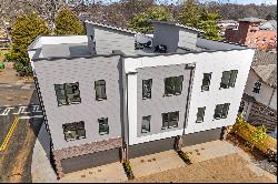 Exquisite New Construction Townhome with Rooftop Deck-Madison Park