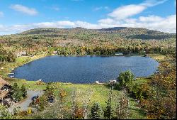 195 Pine Lane, Hunter, NY 12442