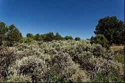 Ranch at Coulter Creek Homesite