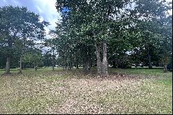 Edenton Bay Plantation Sound front lot #15