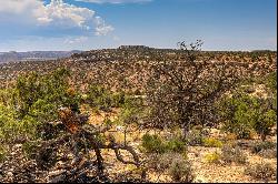 Expansive 17.85 Acres on top of Bridger Jack Mesa- The Ultimate Moab Retreat