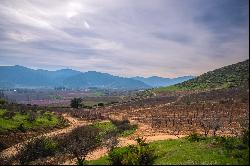 Sanctuary Las Palmas Ranch