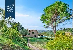 Historic renovated country estate with a swimming pool and olive grove for sale in Urbino