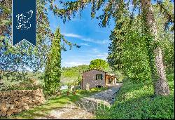 Historic renovated country estate with a swimming pool and olive grove for sale in Urbino