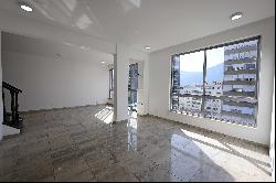 Triplex penthouse with ocean and Christ the Redeemer views between Joana Angelic