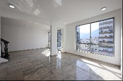 Triplex penthouse with ocean and Christ the Redeemer views between Joana Angelic