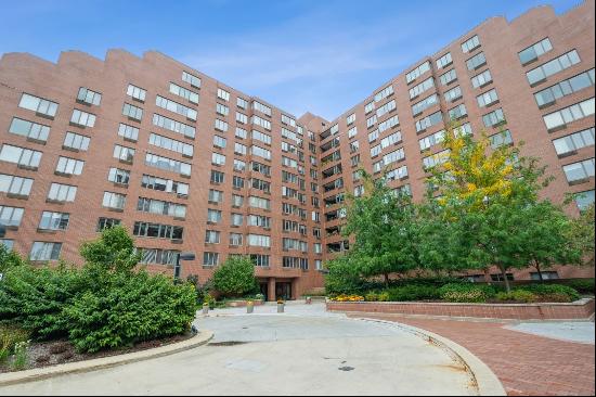 801 S PLYMOUTH Court #1007, Chicago IL 60605