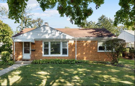 1205 S Cora Street, Des Plaines IL 60018