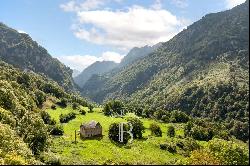 MAGNIFICENT FARMHOUSE TO RESTORE UNIQUE IN THE ASPE VALLEY BEARN