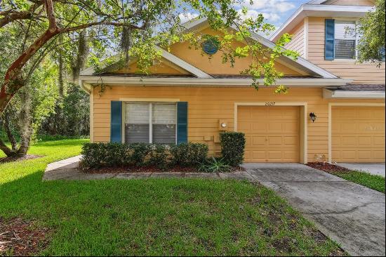 20217 Vintage Oaks Place, Tampa FL 33647