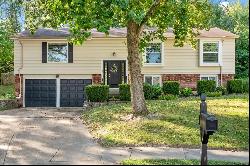 11664 Chieftain Drive, St Louis MO 63146