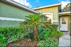 3211 Banyan Hill Lane, Land O' Lakes FL 34639