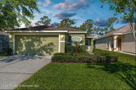 3211 Banyan Hill Lane, Land O' Lakes FL 34639