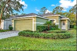 3211 Banyan Hill Lane, Land O' Lakes FL 34639