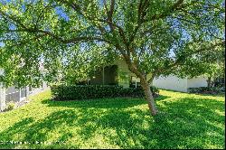 3211 Banyan Hill Lane, Land O' Lakes FL 34639