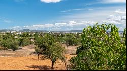 Rustic Country Estate with lots of Potential for sale 5 minutes , Palma de Mallorca 07011