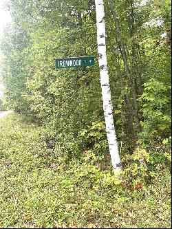 Ironwood Drive Parcel 10 & 11, Cheboygan MI 49721