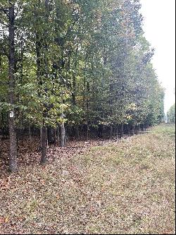 Ironwood Drive Parcel 10 & 11, Cheboygan MI 49721