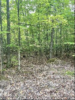 Ironwood Drive Parcel 10 & 11, Cheboygan MI 49721