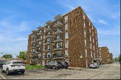 7229 W Higgins Avenue #105, Chicago IL 60656