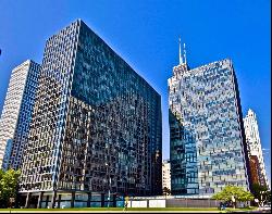 900 N Lake Shore Drive #2403-01, Chicago IL 60611