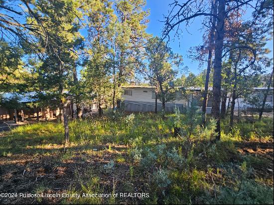 123 Lance Trail, Ruidoso NM 88345