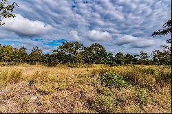 28+ Acres on the Banks of Onion Creek in Dripping Springs, TX