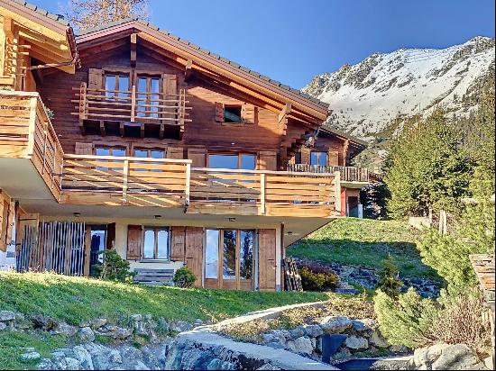 For rent only Christmas week: Family Chalet