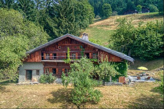 A beautiful chalet located in a preserved and quiet area in Demi-Quartier.